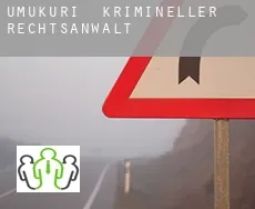 Umukuri  krimineller rechtsanwalt