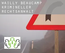 Wailly-Beaucamp  krimineller rechtsanwalt