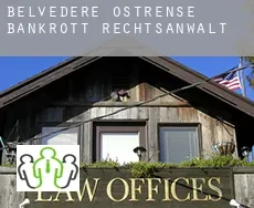Belvedere Ostrense  bankrott rechtsanwalt
