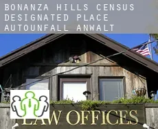Bonanza Hills  Autounfall Anwalt