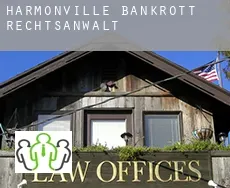 Harmonville  bankrott rechtsanwalt