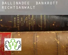 Ballinadee  bankrott rechtsanwalt
