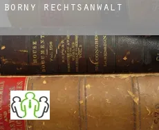 Borny rechtsanwalt