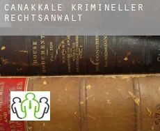 Çanakkale krimineller rechtsanwalt