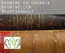 Chemiré-en-Charnie  krimineller rechtsanwalt