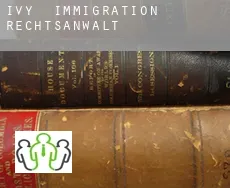 Ivy  immigration rechtsanwalt