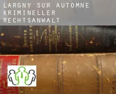 Largny-sur-Automne krimineller rechtsanwalt