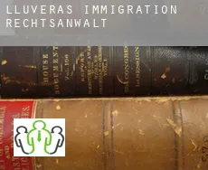 Lluveras  immigration rechtsanwalt