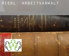 Riedl arbeitsanwalt