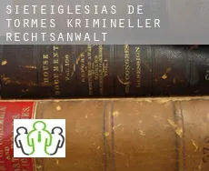 Sieteiglesias de Tormes krimineller rechtsanwalt