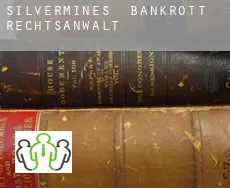 Silvermines  bankrott rechtsanwalt