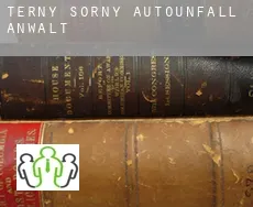 Terny-Sorny Autounfall Anwalt