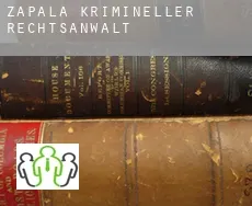 Zapala  krimineller rechtsanwalt