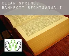 Clear Springs  bankrott rechtsanwalt