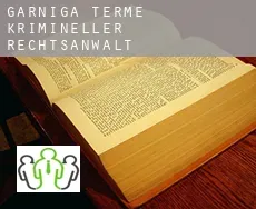 Garniga Terme  krimineller rechtsanwalt