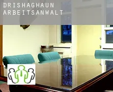 Drishaghaun  arbeitsanwalt