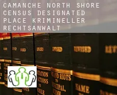 Camanche North Shore  krimineller rechtsanwalt