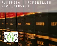 Pukepito  krimineller rechtsanwalt