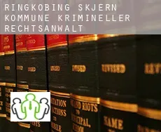 Ringkøbing-Skjern Kommune  krimineller rechtsanwalt