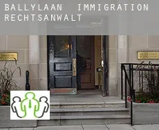 Ballylaan  immigration rechtsanwalt
