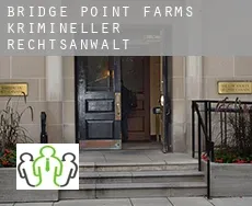 Bridge Point Farms  krimineller rechtsanwalt