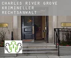 Charles River Grove  krimineller rechtsanwalt