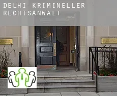 Delhi  krimineller rechtsanwalt