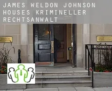 James Weldon Johnson Houses  krimineller rechtsanwalt