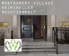 Montgomery Village  krimineller rechtsanwalt