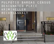 Pulpotio Bareas krimineller rechtsanwalt