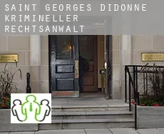 Saint-Georges-de-Didonne  krimineller rechtsanwalt
