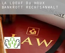 La Loeuf du Houx  bankrott rechtsanwalt