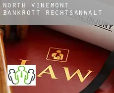 North Vinemont  bankrott rechtsanwalt