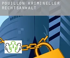 Pouillon  krimineller rechtsanwalt
