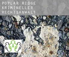 Poplar Ridge  krimineller rechtsanwalt