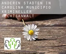 Anderen Städten in Carolina Municipio  krimineller rechtsanwalt