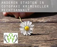Anderen Städten in Cotopaxi  krimineller rechtsanwalt