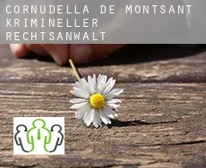 Cornudella de Montsant  krimineller rechtsanwalt