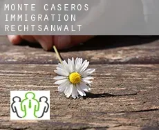 Departamento de Monte Caseros  immigration rechtsanwalt