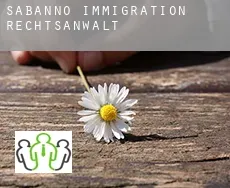 Sabanno  immigration rechtsanwalt
