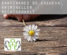 Santibáñez de Esgueva  krimineller rechtsanwalt