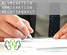 Blumenstein BE immigration rechtsanwalt