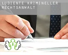 Ludiente  krimineller rechtsanwalt
