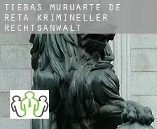 Tiebas-Muruarte de Reta  krimineller rechtsanwalt