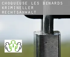 Choqueuse-les-Bénards  krimineller rechtsanwalt
