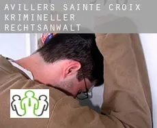 Avillers-Sainte-Croix  krimineller rechtsanwalt