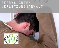 Berrys Creek  verletzungsanwalt