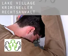Lake Village  krimineller rechtsanwalt