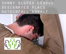 Sunny Slopes  Autounfall Anwalt