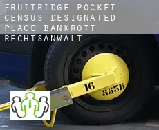 Fruitridge Pocket bankrott rechtsanwalt